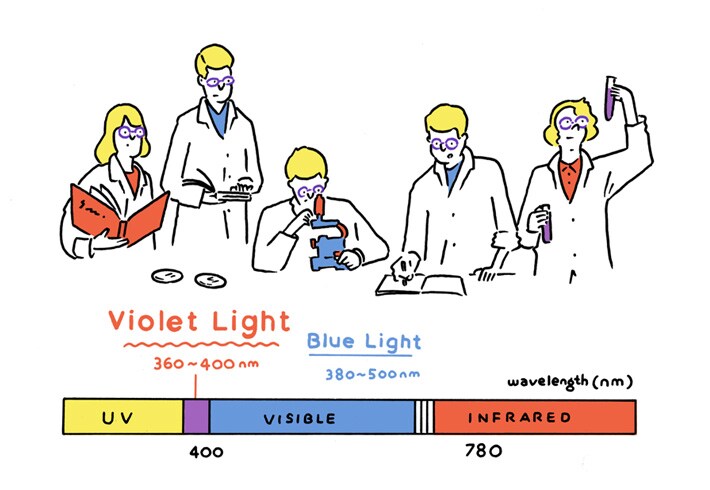 violet_img2.jpg
