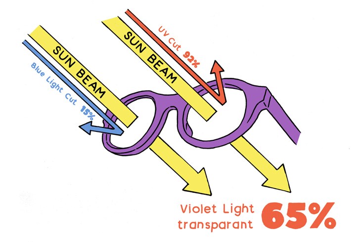 violet_img3.jpg
