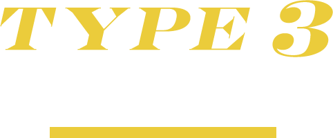 TYPE 3