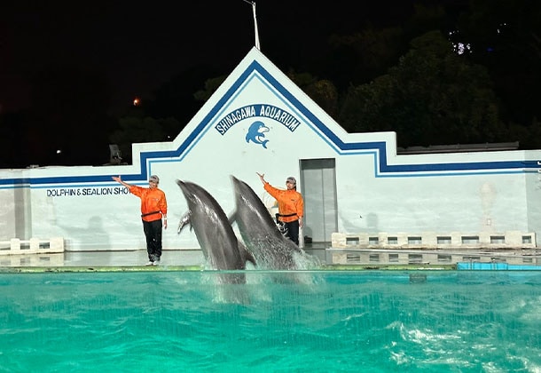 夜の水族館を貸切！生き物たちとの急接近で、これまで知らなかった意外な一面を「みる」。3