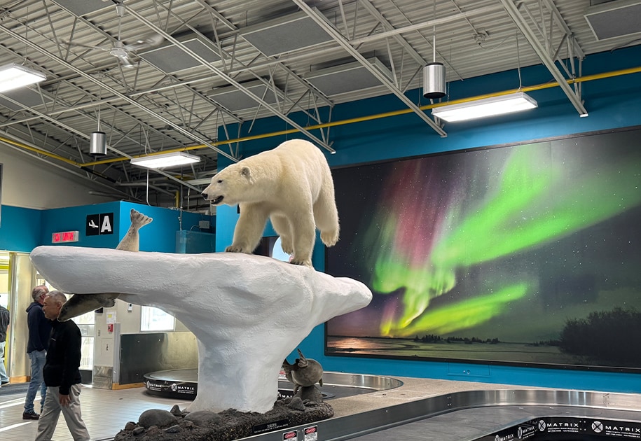 宇宙の神秘！ 夜空で美しくゆらめくオーロラを「みる」。2