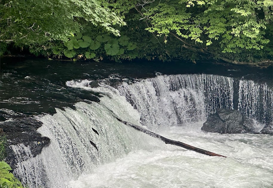 夜の水族館を貸切！生き物たちとの急接近で、これまで知らなかった意外な一面を「みる」。6