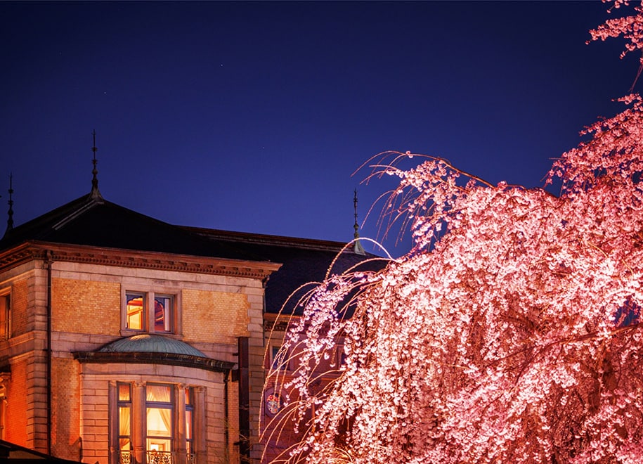 京都祇園の夜桜を貸し切り。歴史ある洋館でディナーをしながら「みる」。1