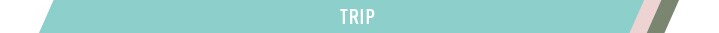 見出し TRIP