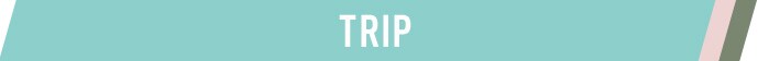 見出し TRIP