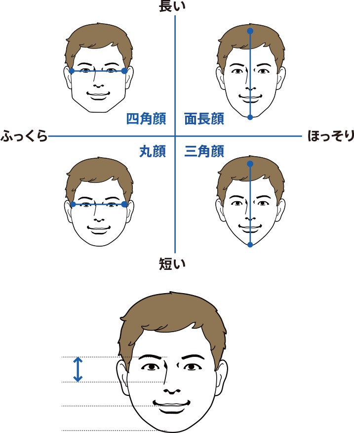 顔型比較図